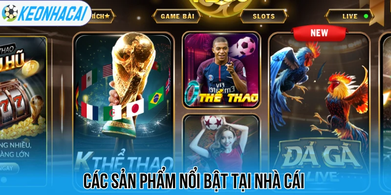 Top88 - Nhà Cái Cá Cược Thể Thao Hơn 10.000 Kèo Đấu Mỗi Ngày 1 Các sản phẩm nổi bật tại nhà cái