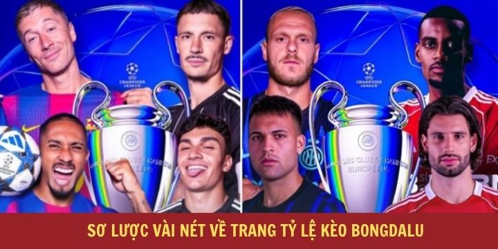 Bongdalu - Kèo bóng đá chuẩn quốc tế, cập nhật BXH, KQBD chính xác 1 Bongdalu trải nghiệm kèo đấu dễ dàng và nhanh chóng