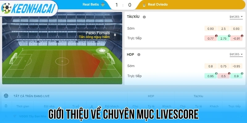 Livescore – Trực Tuyến Bóng Đá 247 Chi Tiết Và Chính Xác 25 Giới thiệu về chuyên mục livescore