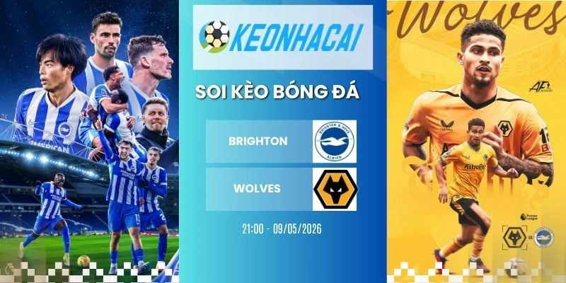 Kèo nhà cái Brighton vs Wolves - NHA, 09/05/2026