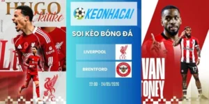 Kèo nhà cái Liverpool vs Brentford - NHA, 24/05/2026