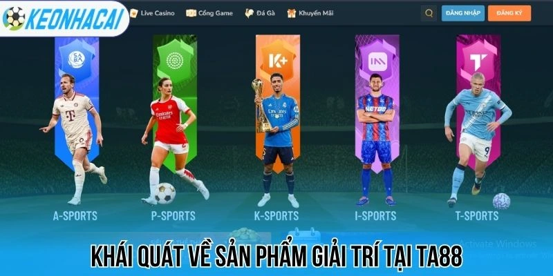 Ta88 - Thương Hiệu Giải Trí Chuyên Kèo Bóng Đá Số 1 Việt Nam 1 Khái quát về sản phẩm tại Ta88