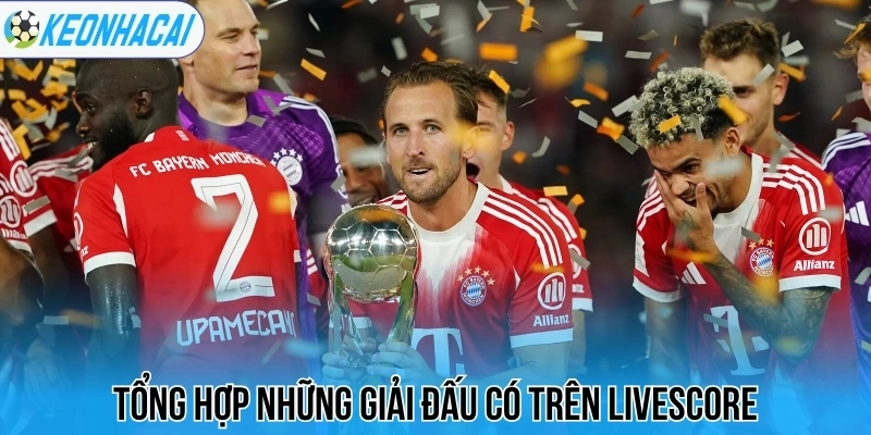 Livescore – Trực Tuyến Bóng Đá 247 Chi Tiết Và Chính Xác 31 Tổng hợp những giải đấu có trên livescore
