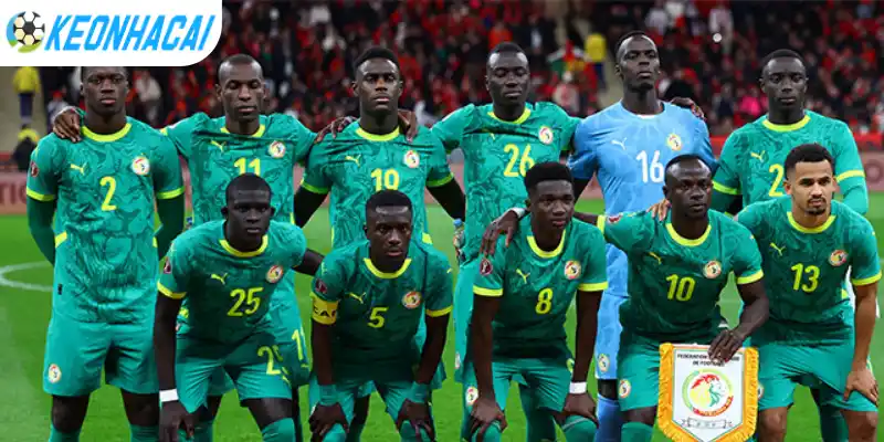 Đội hình và sơ đồ dự kiến của Sénégal vs Iraq