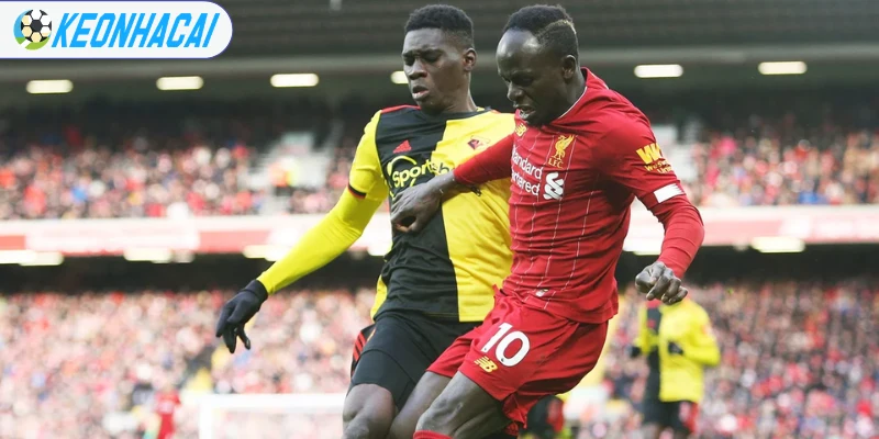 Sadio Mane và Ismaila Sarr được đặt kỳ vọng trong trận gặp Bỉ 3 Sadio Mane và Ismaila Sarr được kỳ vọng lớn từ người hâm mộ